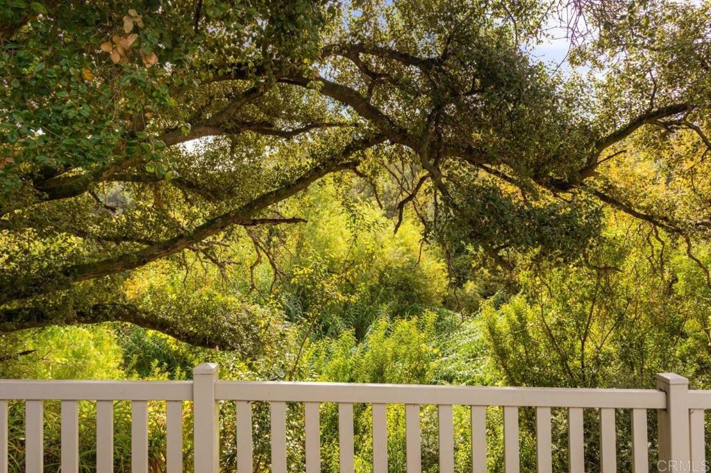3505 Alpine Boulevard, Unit 15 Alpine, CA 91901 - Photo 5 of 23 a view of a yard with large trees
