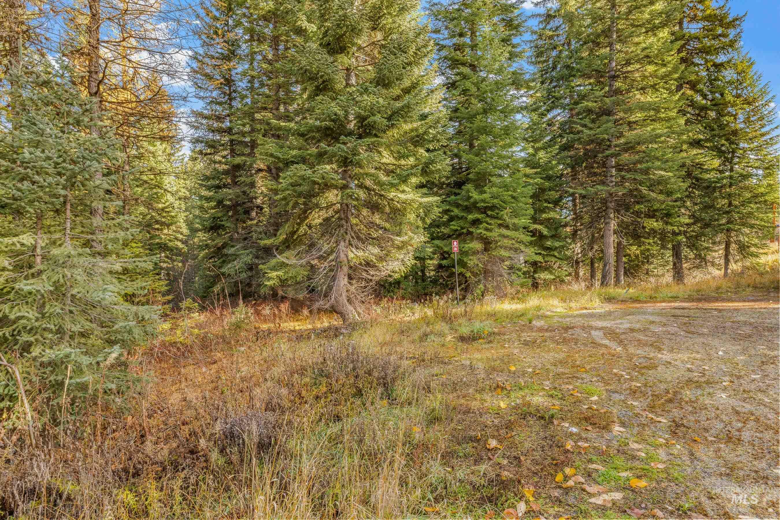 150 Pinnacle Court Cascade, ID 83611 - Photo 11 of 30 View of woods