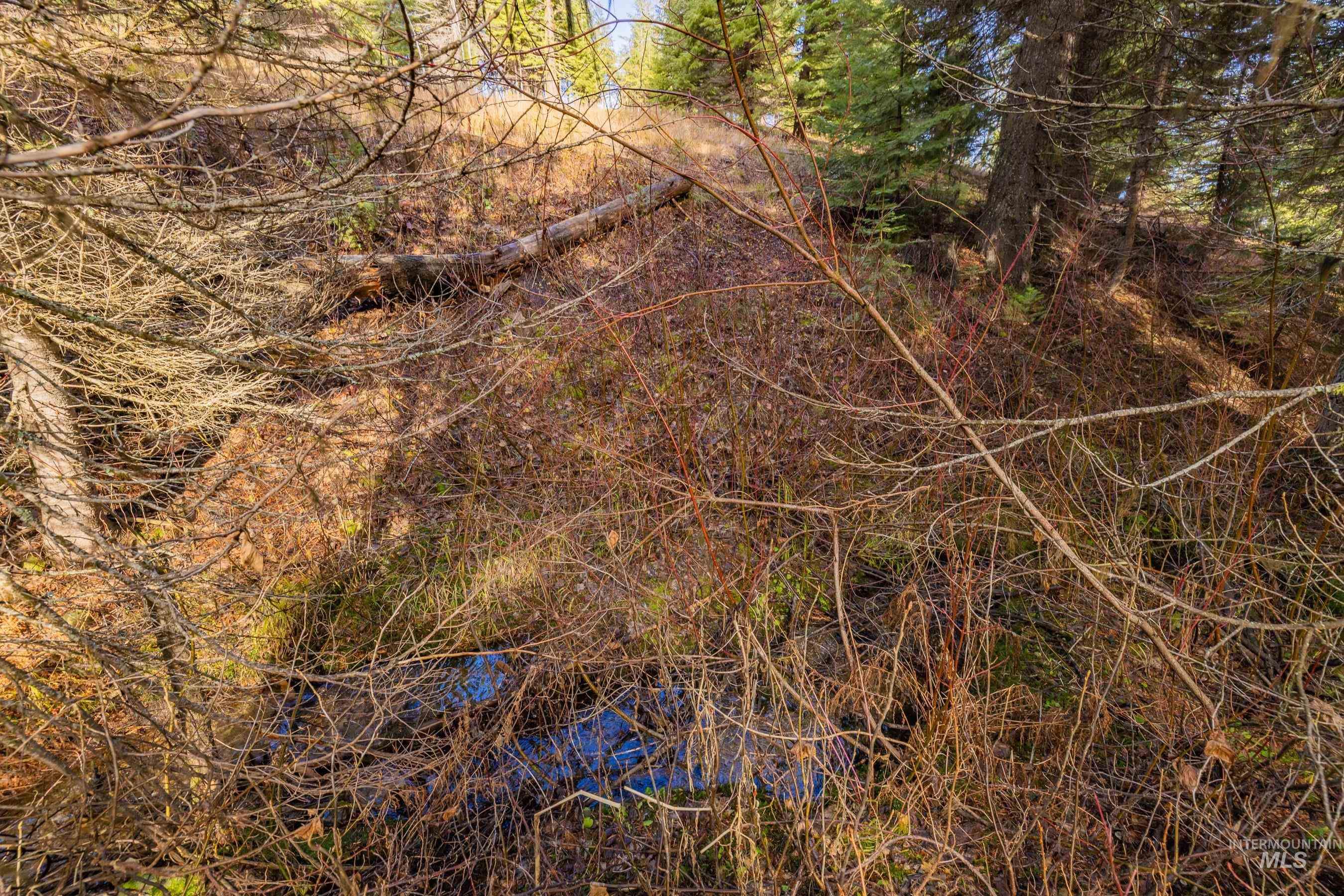 150 Pinnacle Court Cascade, ID 83611 - Photo 19 of 30 View of woods