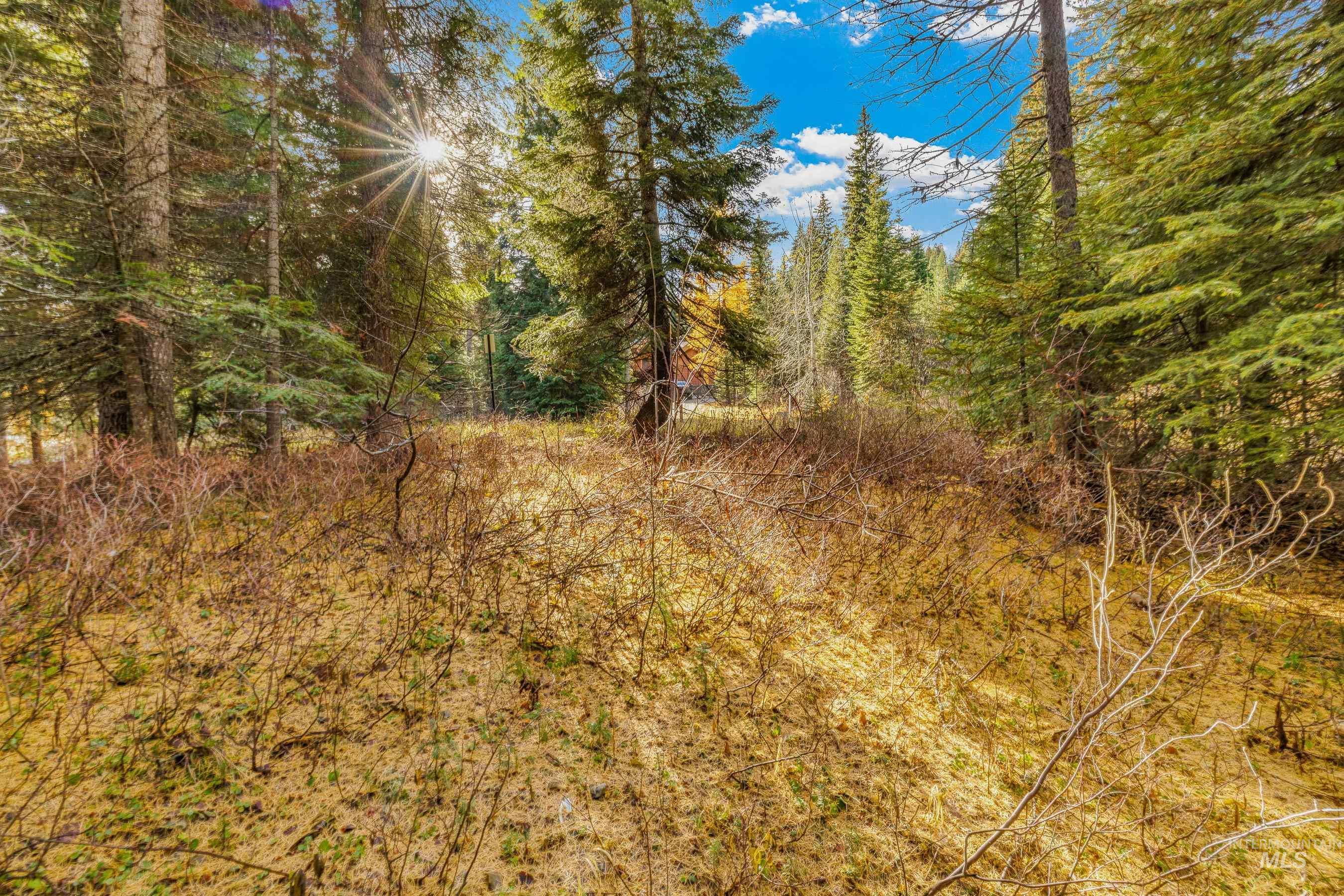 150 Pinnacle Court Cascade, ID 83611 - Photo 3 of 30 View of woods