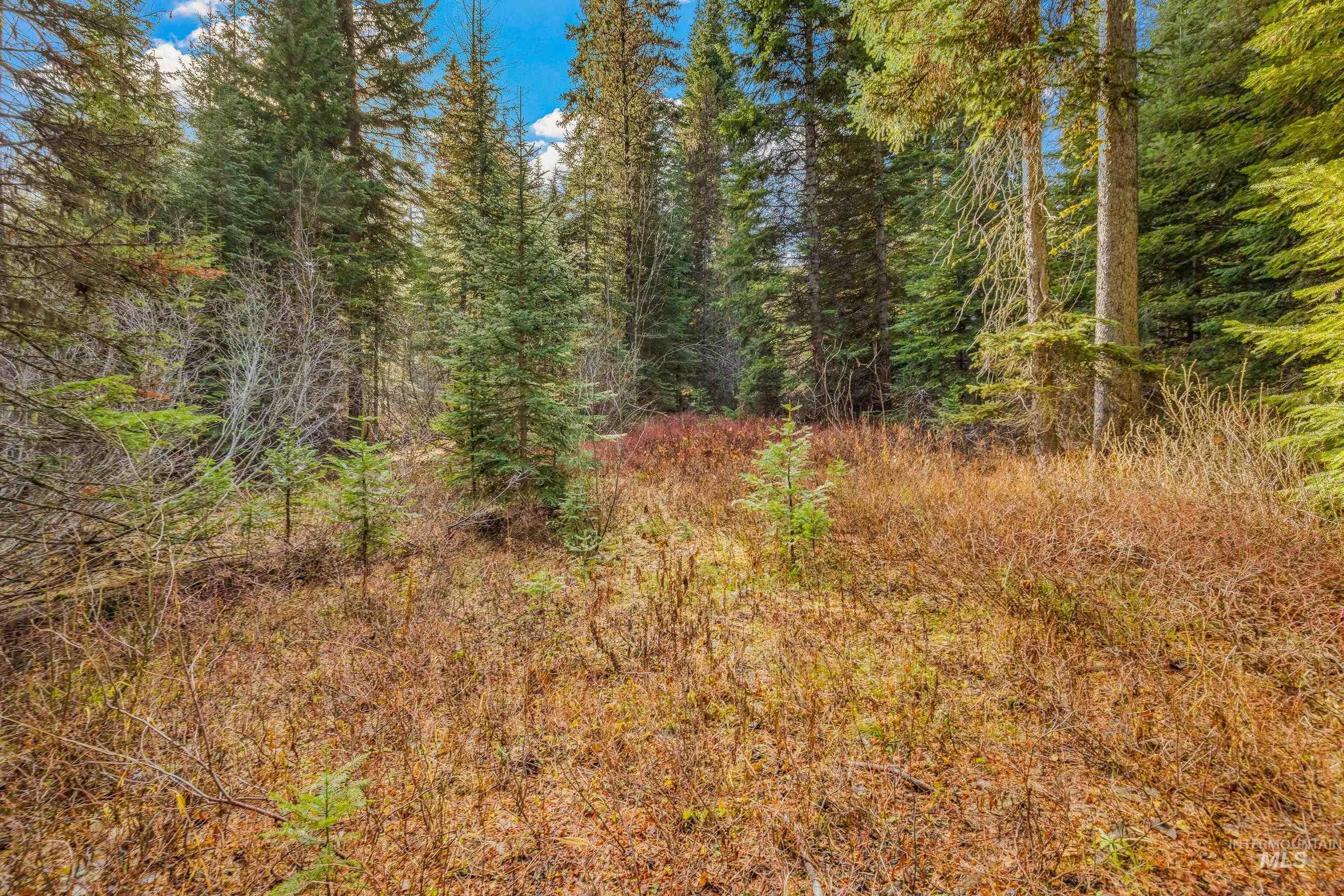 150 Pinnacle Court Cascade, ID 83611 - Photo 4 of 30 View of wooded area