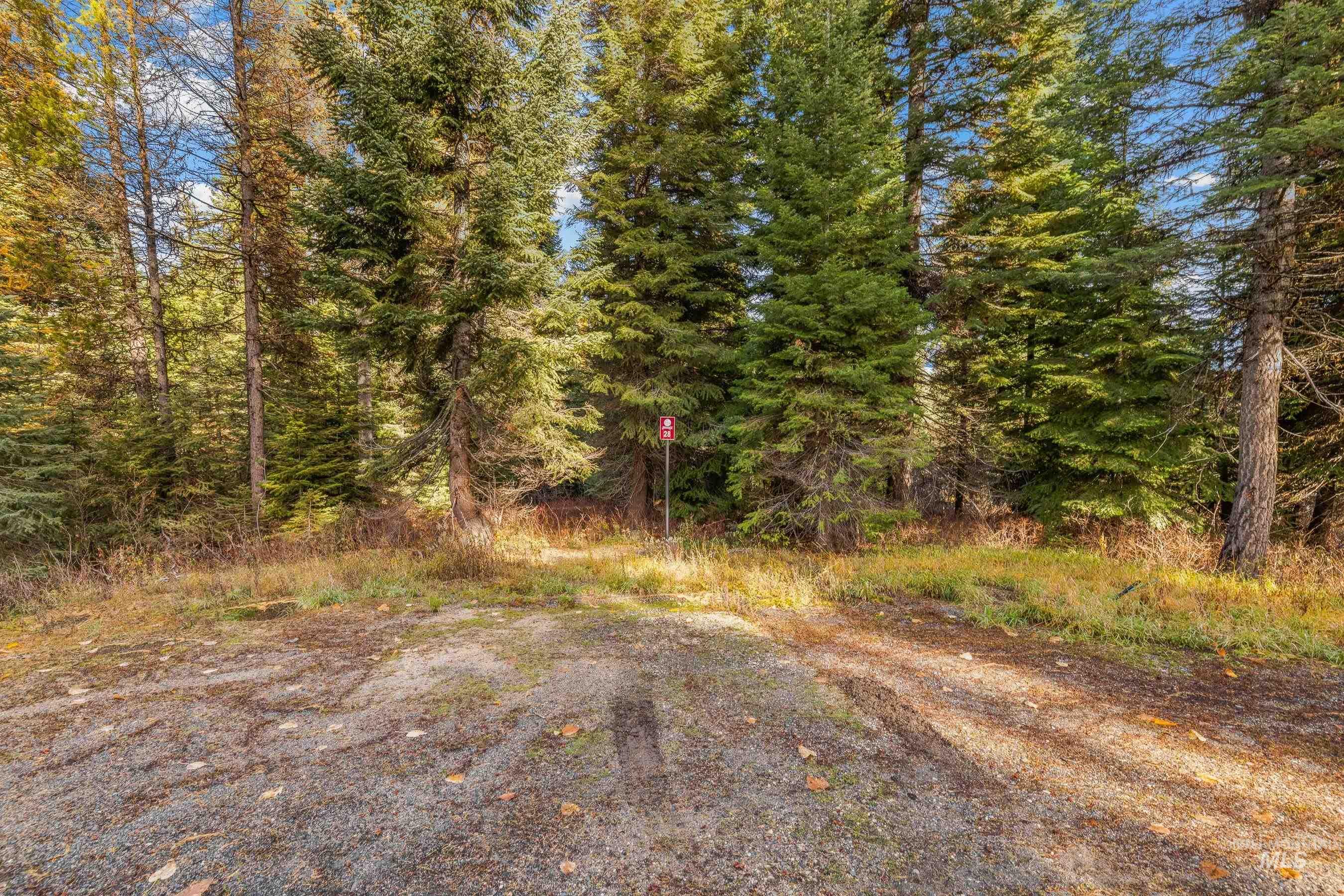 150 Pinnacle Court Cascade, ID 83611 - Photo 5 of 30 View of road with a view of trees