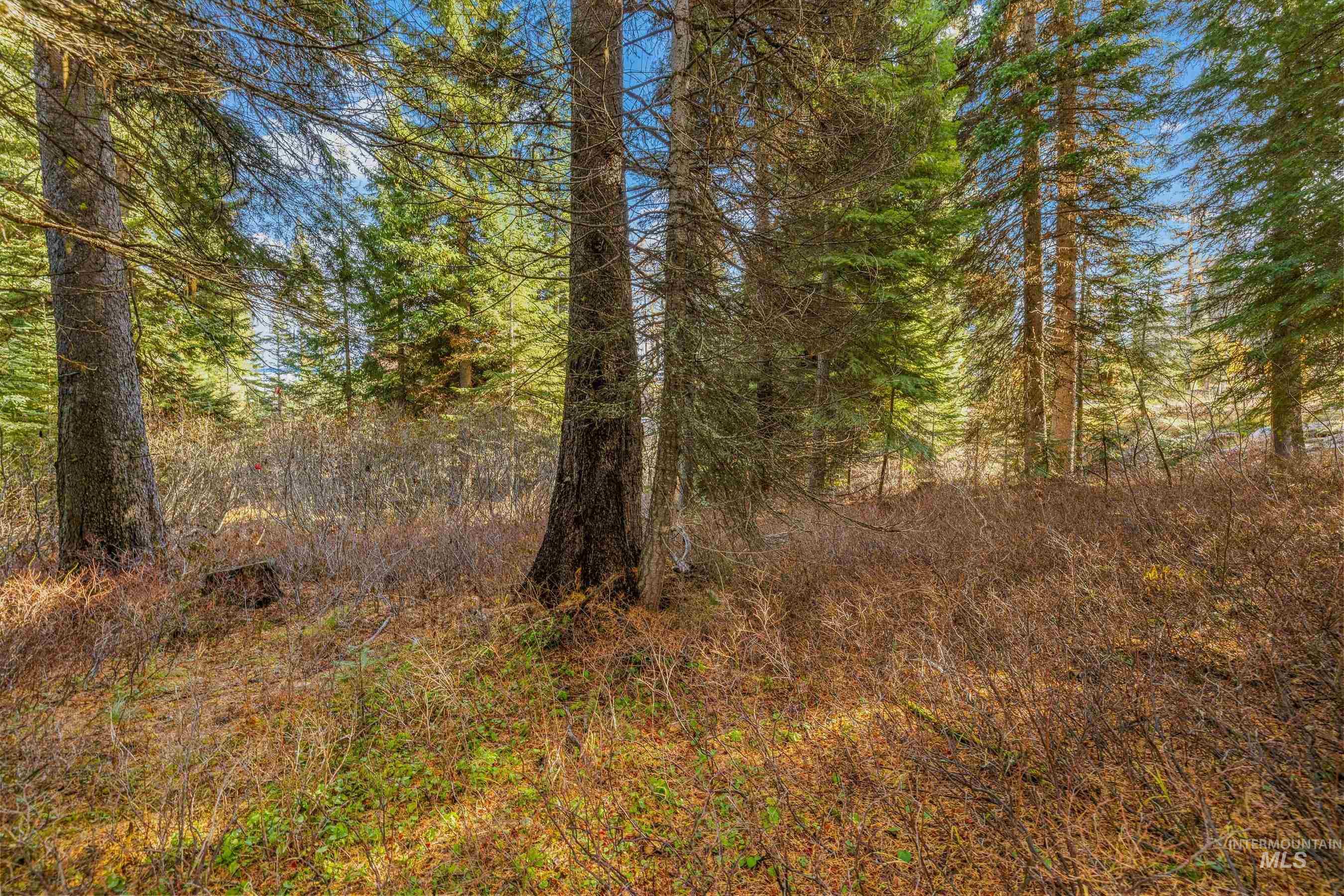 150 Pinnacle Court Cascade, ID 83611 - Photo 8 of 30 View of woods