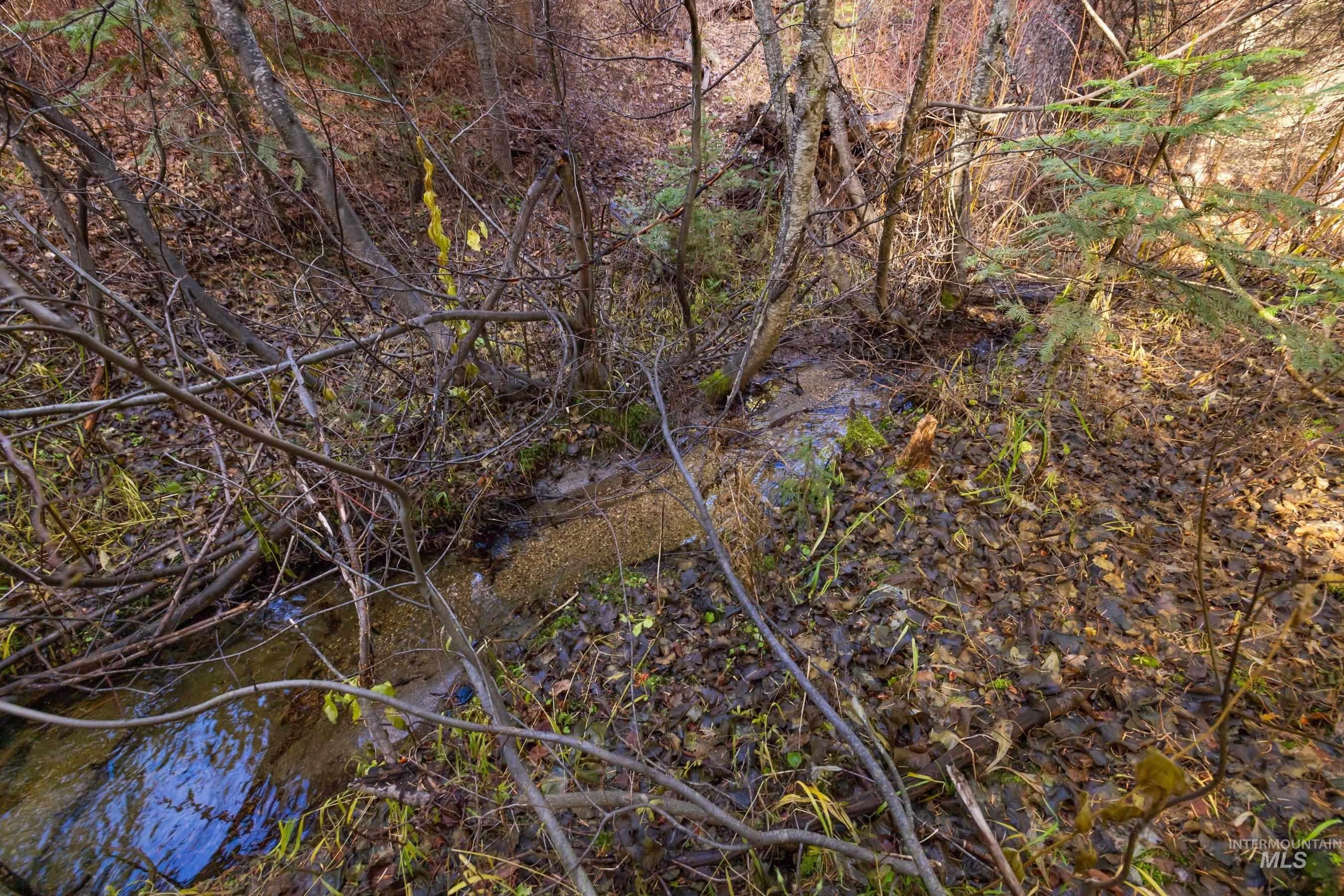 150 Pinnacle Court Cascade, ID 83611 - Photo 9 of 30 View of local wilderness