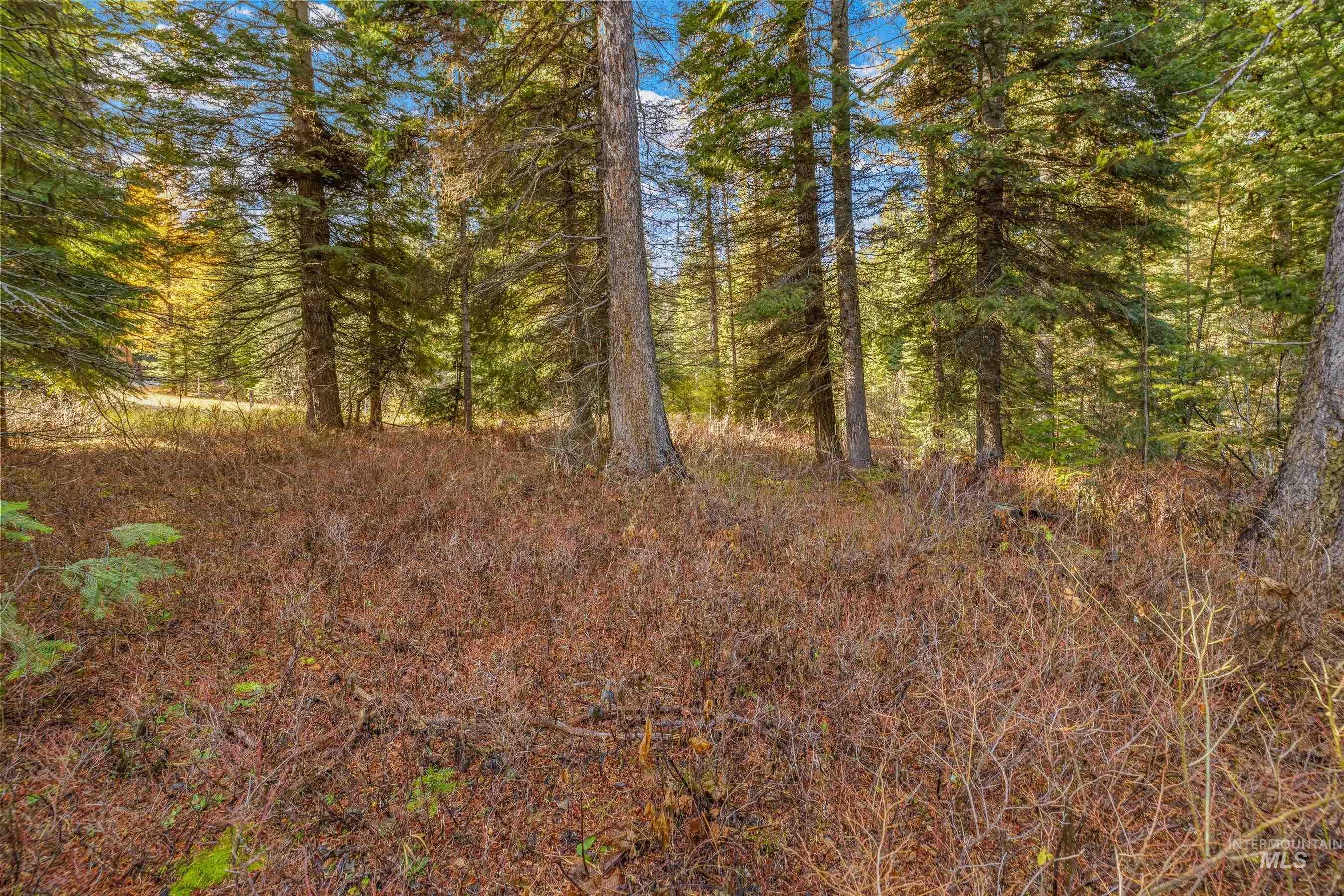 150 Pinnacle Court Cascade, ID 83611 - Photo 10 of 30 View of tree filled area