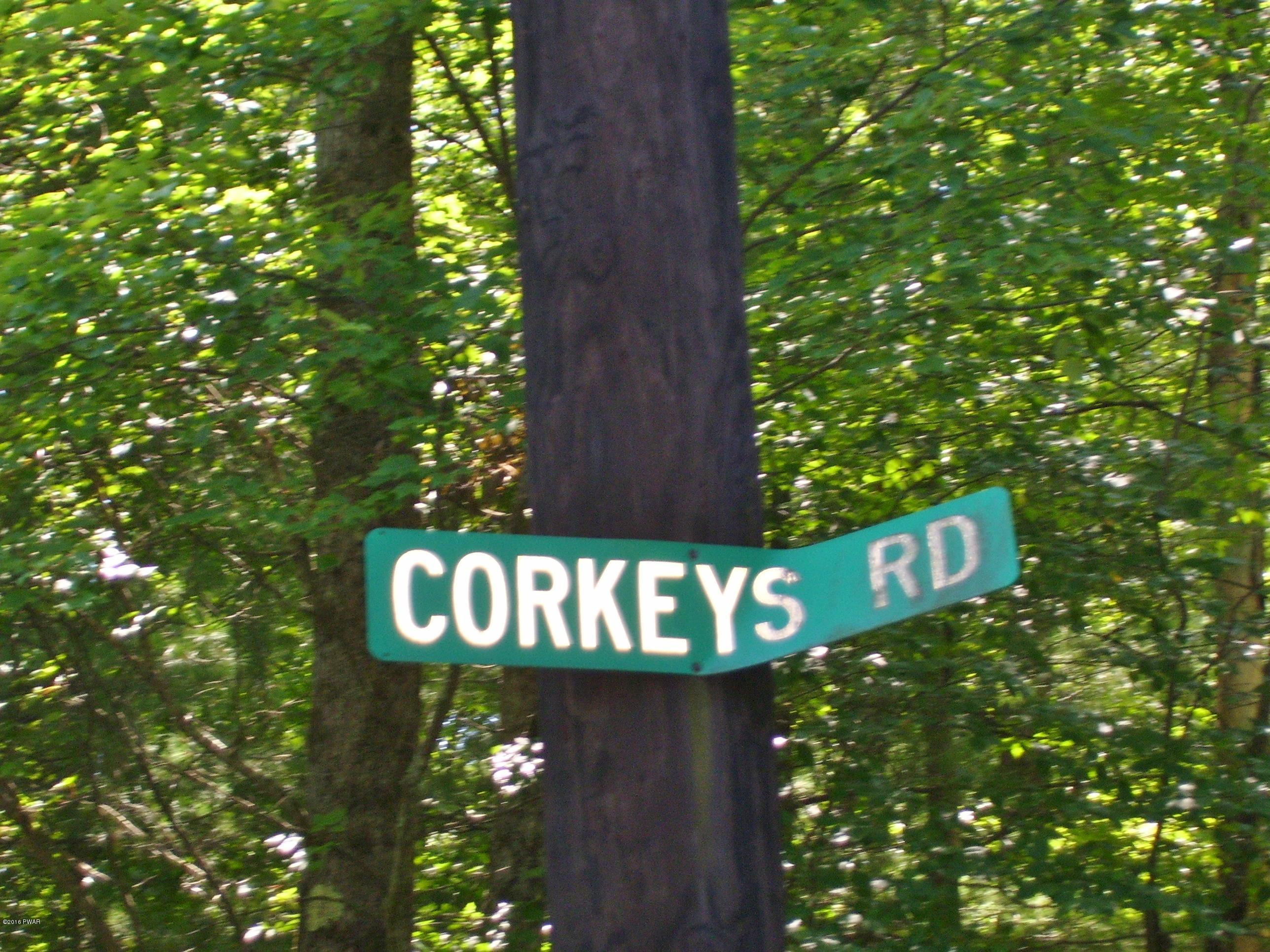 Lot #2 Rebels Road Hawley, PA 18428 - Photo 7 of 8