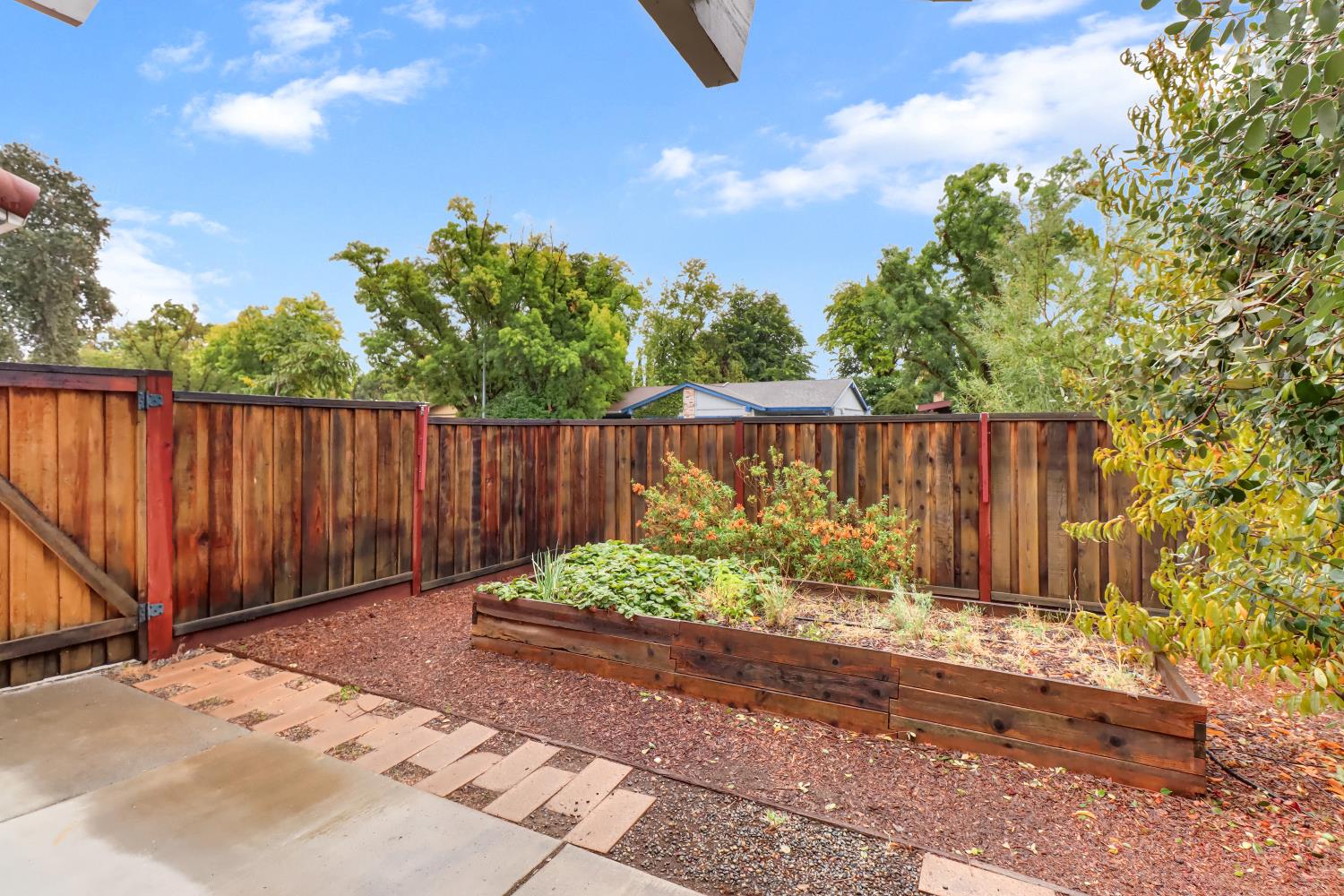 2317 East 8th Street Davis, CA 95618 - Photo 3 of 42 a backyard of a house with green landscape