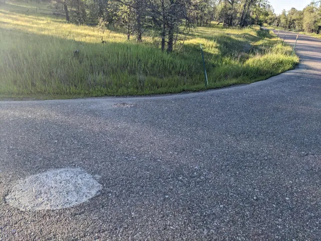 a view of a yard with an outdoor space
