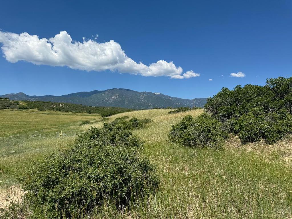 Lot 363 Rock View Boulevard Rye, CO 81069 - Photo 2 of 7