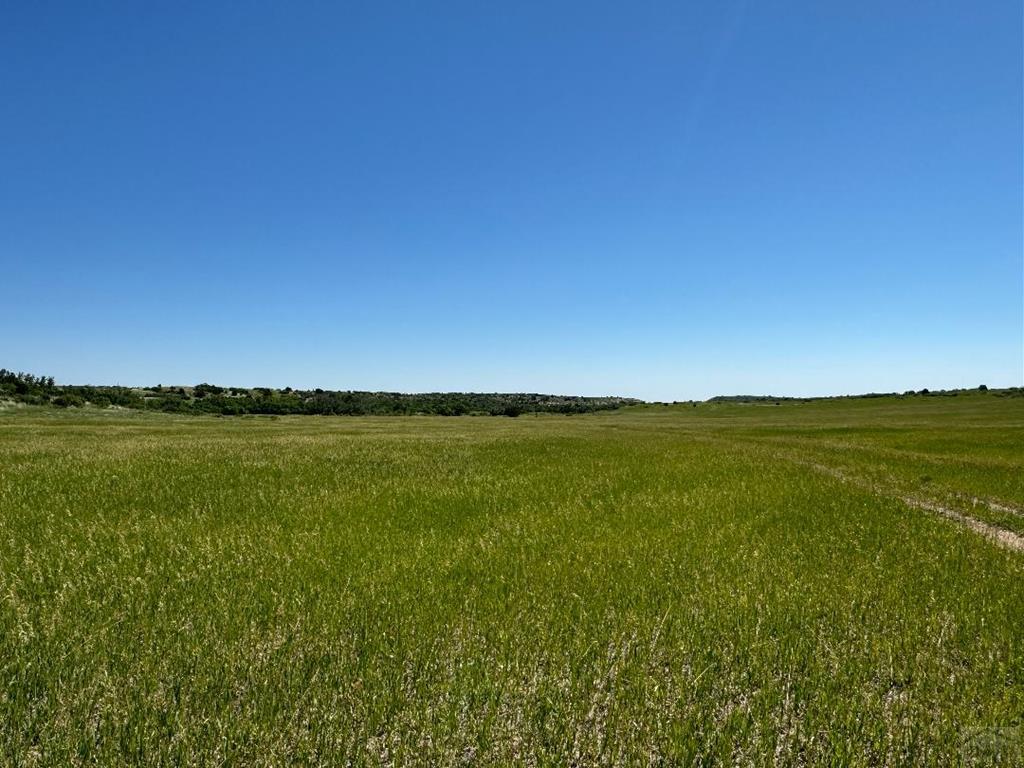 Lot 363 Rock View Boulevard Rye, CO 81069 - Photo 3 of 7