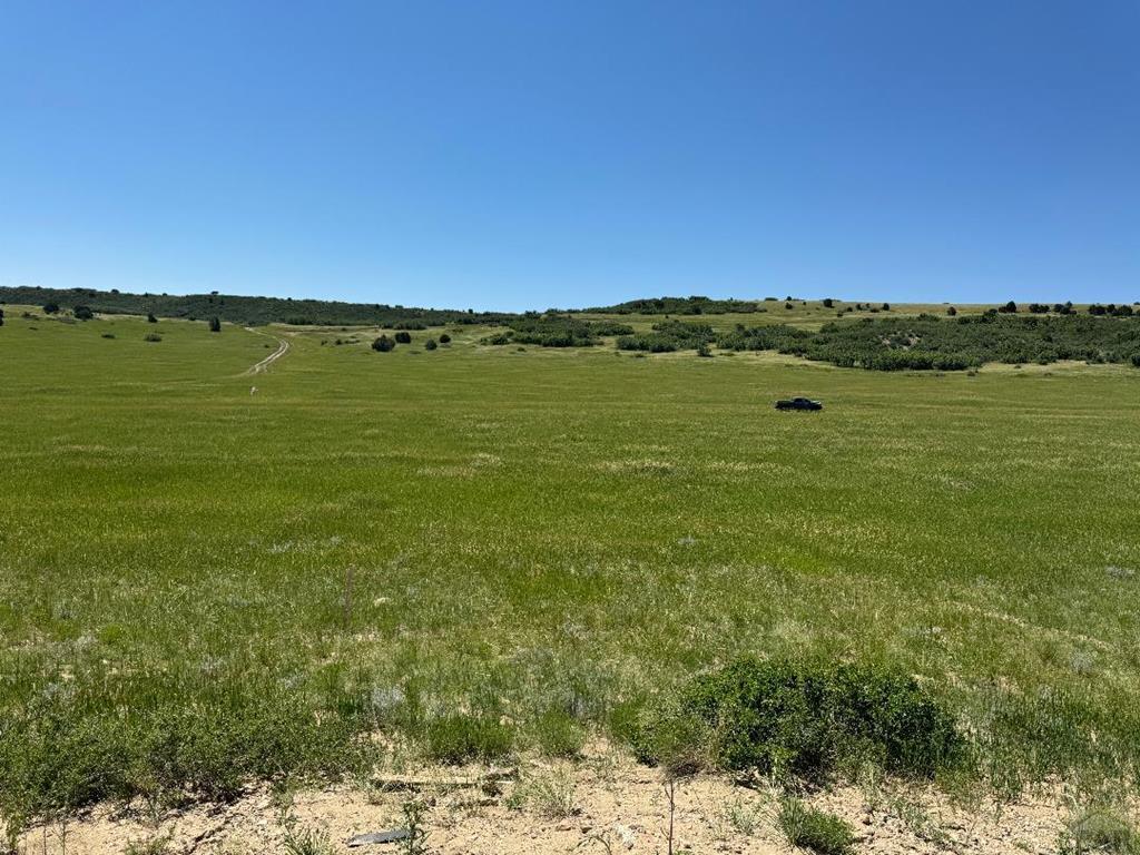 Lot 363 Rock View Boulevard Rye, CO 81069 - Photo 4 of 7