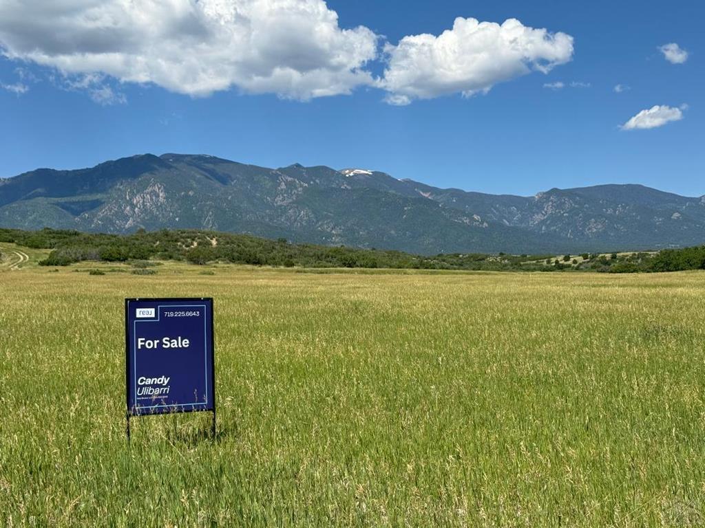 Lot 363 Rock View Boulevard Rye, CO 81069 - Photo 5 of 7