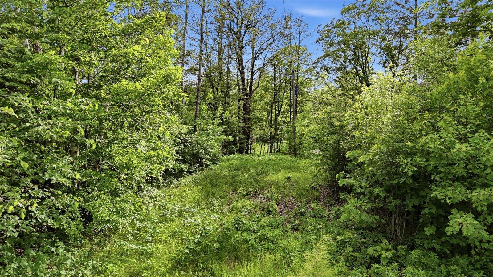 23506 Bazanis Road Cohasset, MN 55721 - Photo 14 of 15