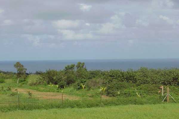 Kapuna Road, Unit D Kilauea, HI 96754 - Photo 1 of 4
