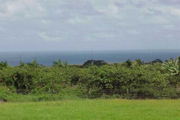Kapuna Road, Unit D Kilauea, HI 96754 - Photo 3 of 4