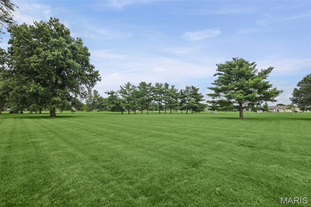 12941 Daiber Road Highland, IL 62249 - Photo 7 of 31