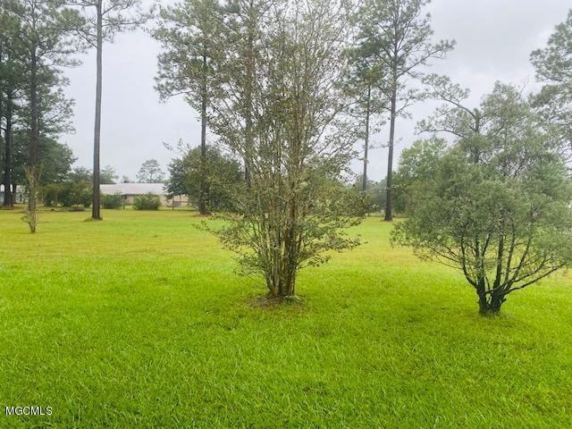 196 Timberlane Road Picayune, MS 39466 - Photo 23 of 27 IMG_1715