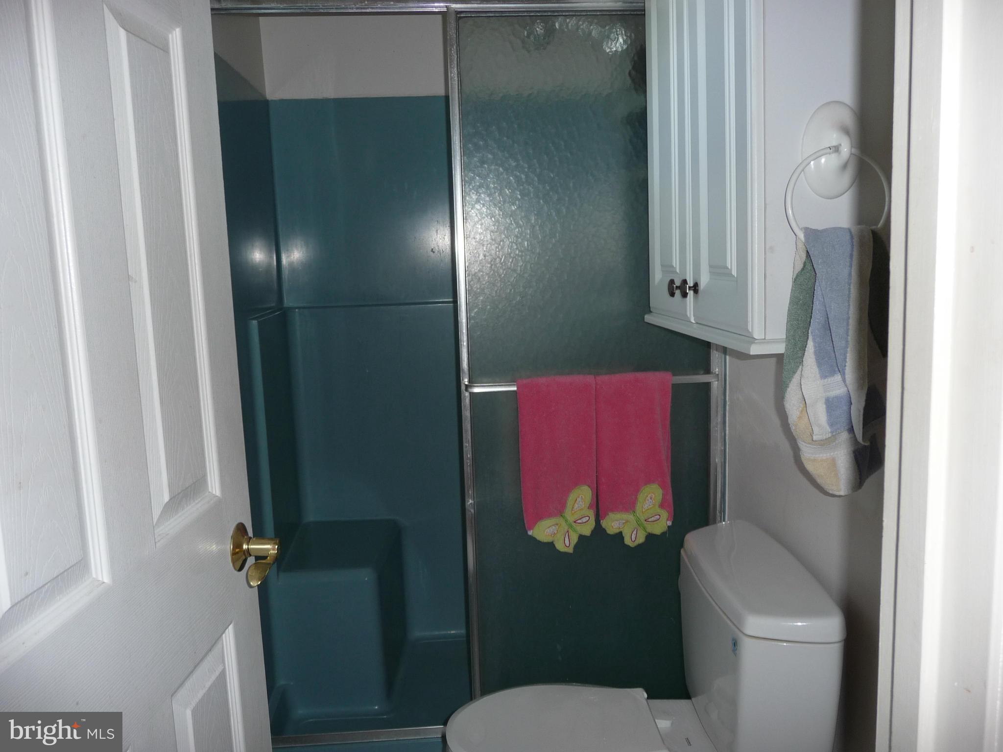 559 Barnes Corner Road Rising Sun, MD 21911 - Photo 20 of 30 Bath (Master)