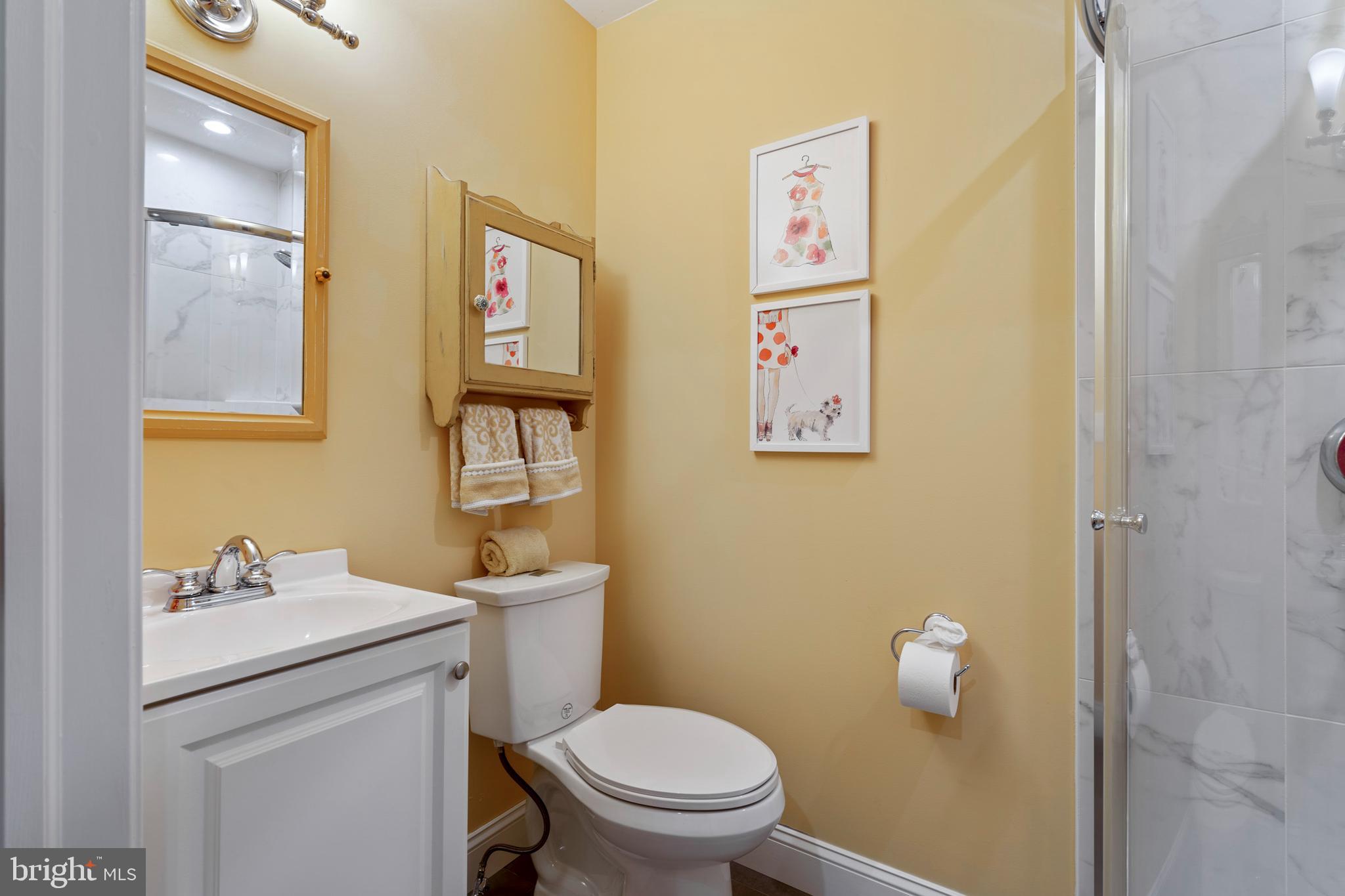 475 Reeds Road Downingtown, PA 19335 - Photo 48 of 78 Bathroom