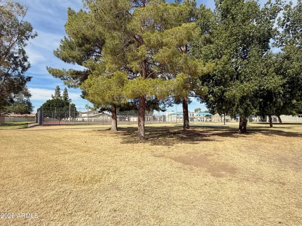a view of a swimming pool and trees in the background
