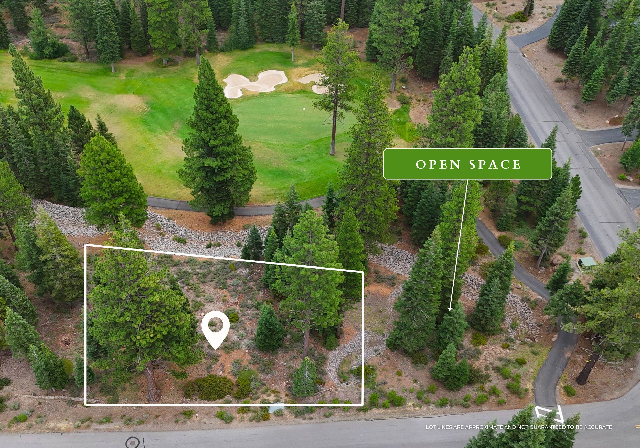 9300 Nine Bark Road Truckee, CA 96161 - Photo 3 of 14 an aerial view of a garden