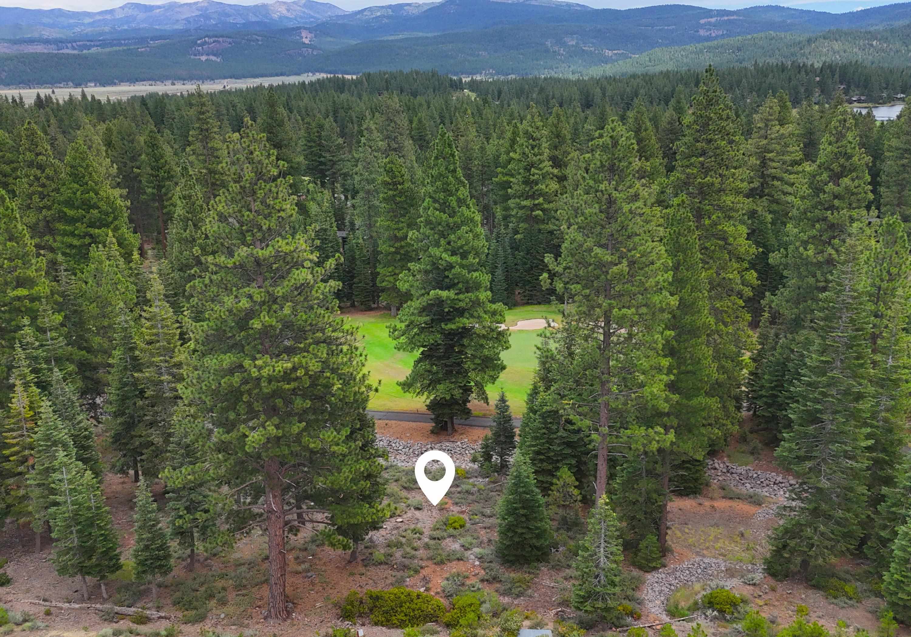 9300 Nine Bark Road Truckee, CA 96161 - Photo 6 of 14 a view of a city with lush green forest