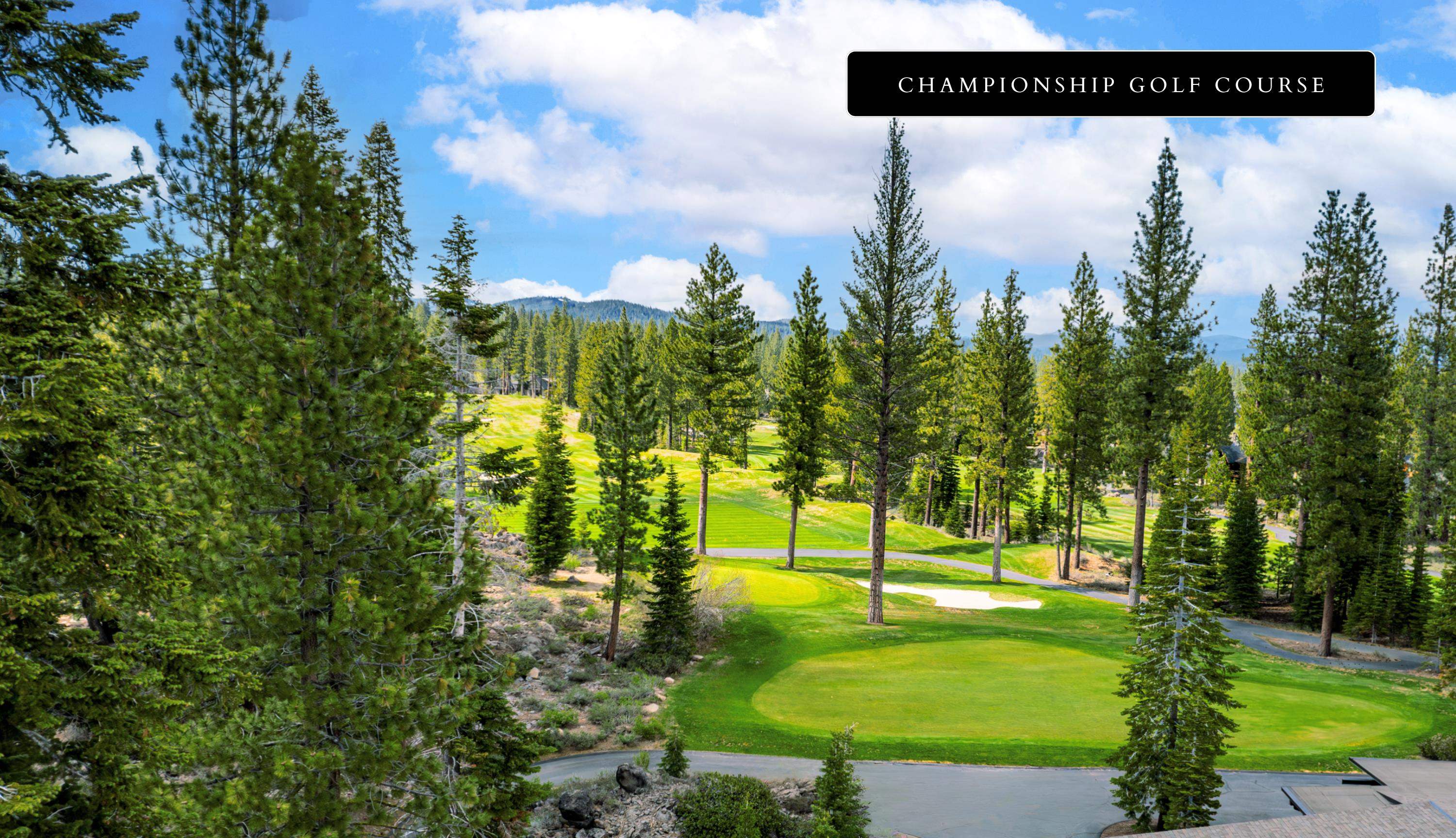 9300 Nine Bark Road Truckee, CA 96161 - Photo 9 of 14 a view of a park with large trees