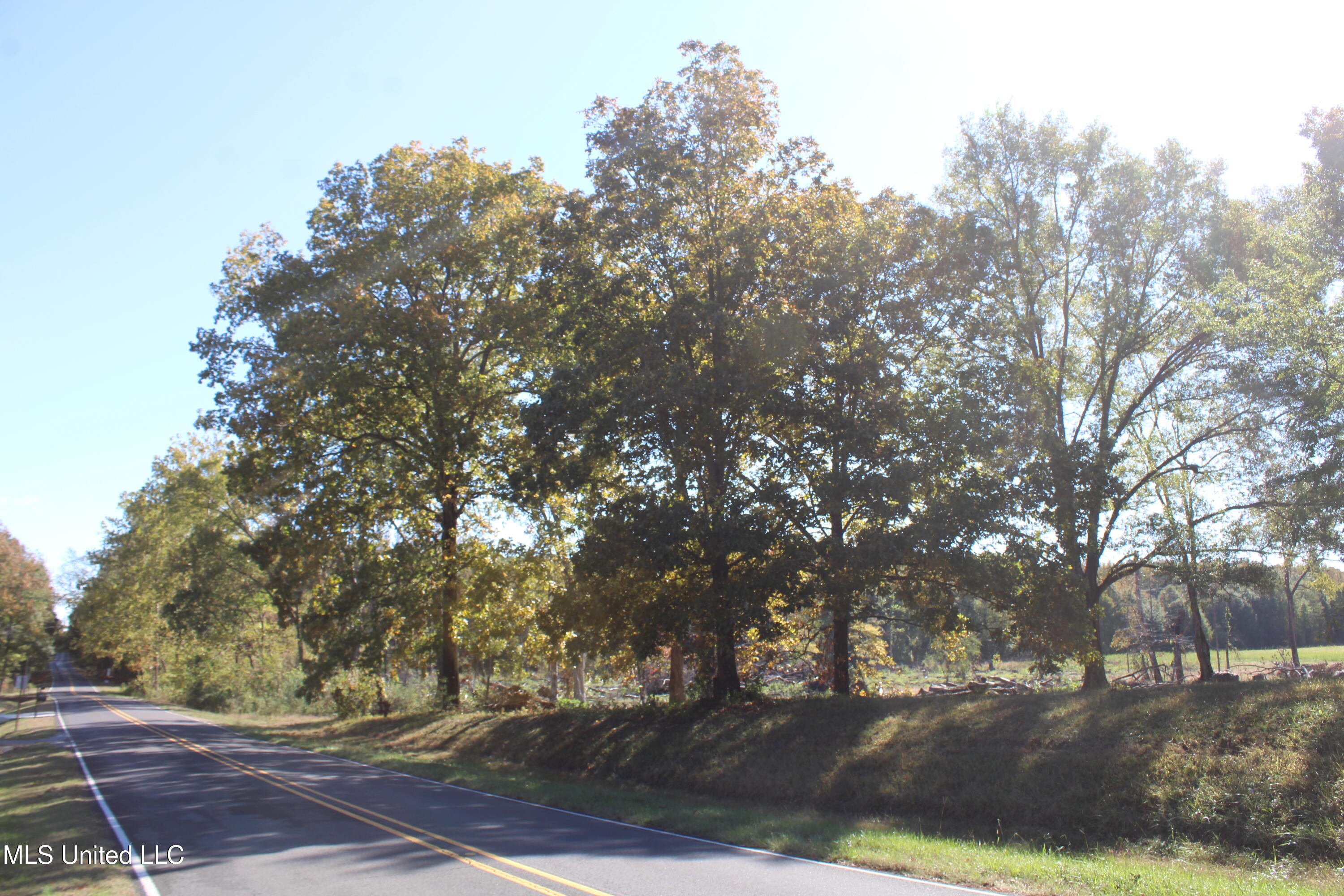 14901 Desoto Road Olive Branch, MS 38654 - Photo 2 of 27 IMG_6870
