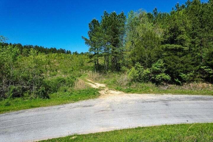 0 Cottonport Road Decatur, TN 37322 - Photo 2 of 3 20240425003942769137000000-o