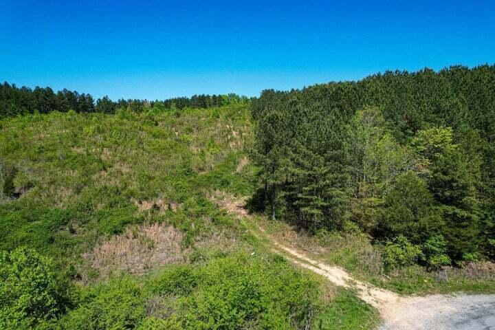 0 Cottonport Road Decatur, TN 37322 - Photo 3 of 3 20240425003945518012000000-o