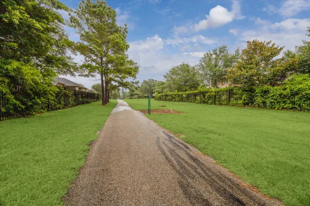 a view of a park with large trees