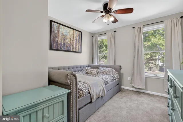 a view of a tree in a yard