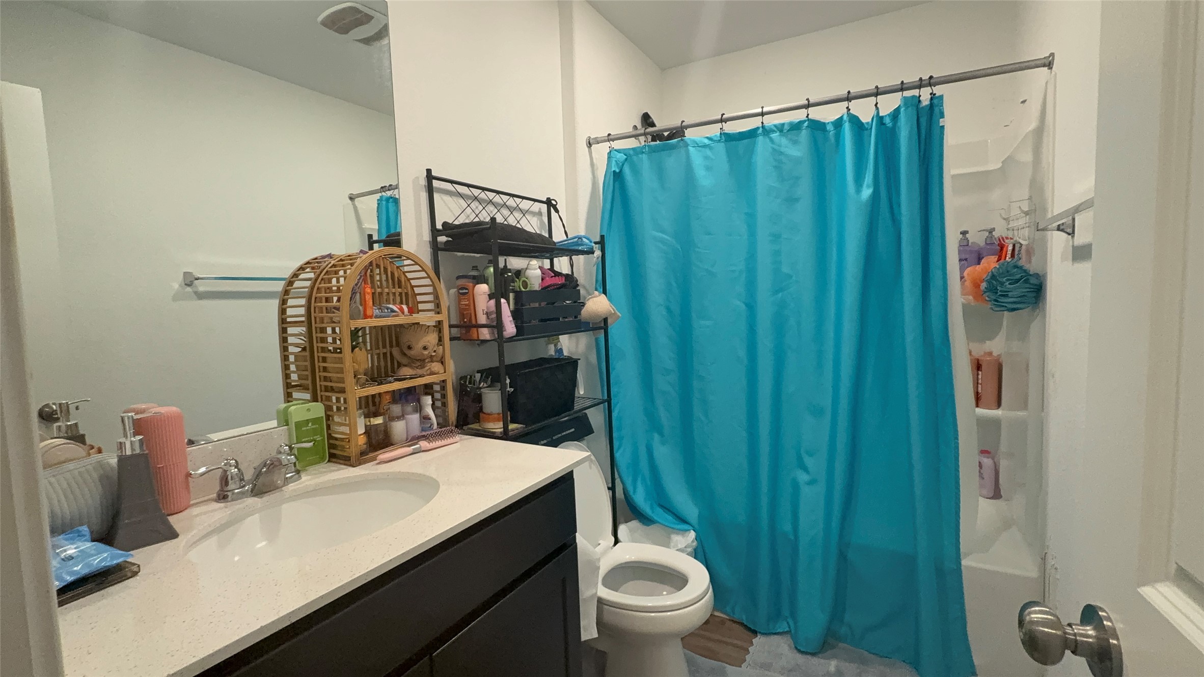 316 Geode Glen Maxwell, TX 78656 - Photo 23 of 24 a bathroom with a sink a toilet and shower