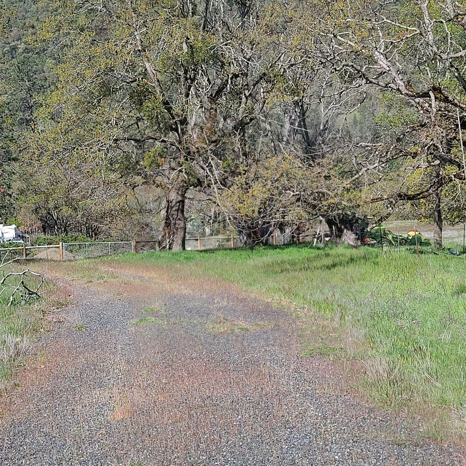 North River Road Central Point, OR 97502 - Photo 10 of 10 a view of a field with grass and trees