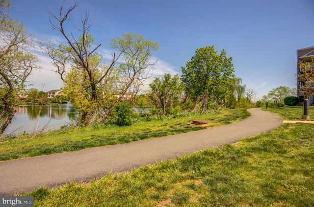 a view of a yard with an outdoor space