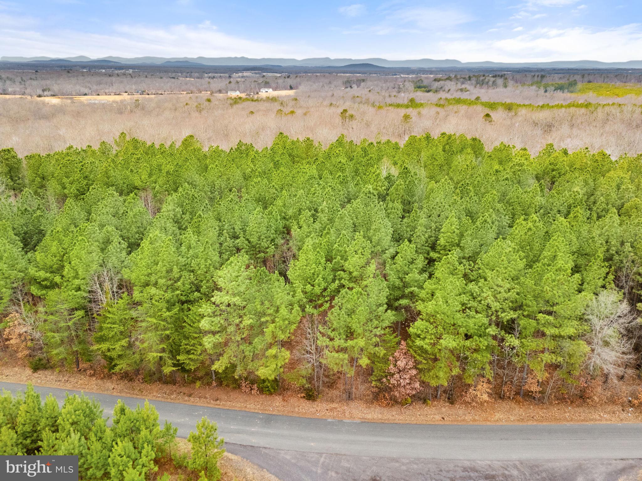 Sams Ridge Lignum, VA 22726 - Photo 28 of 31