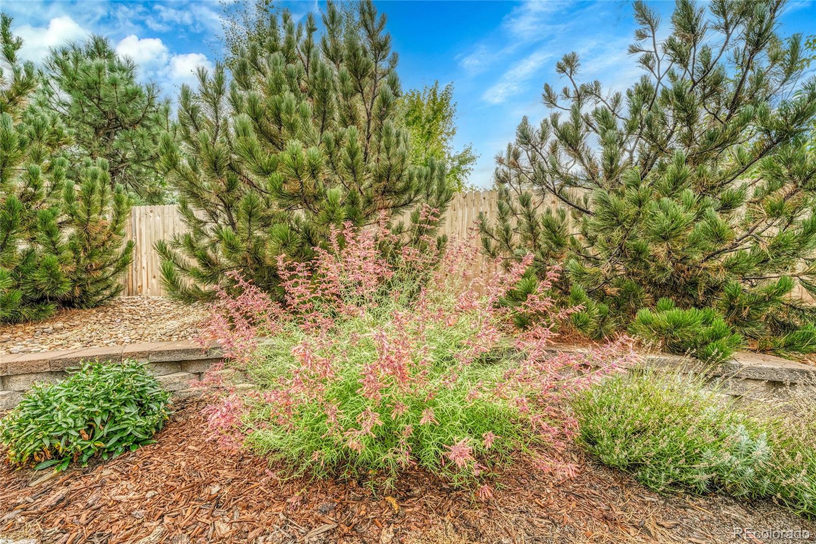 5341 Rhyolite Way Parker, CO 80134 - Photo 37 of 48 Gallery Image 37