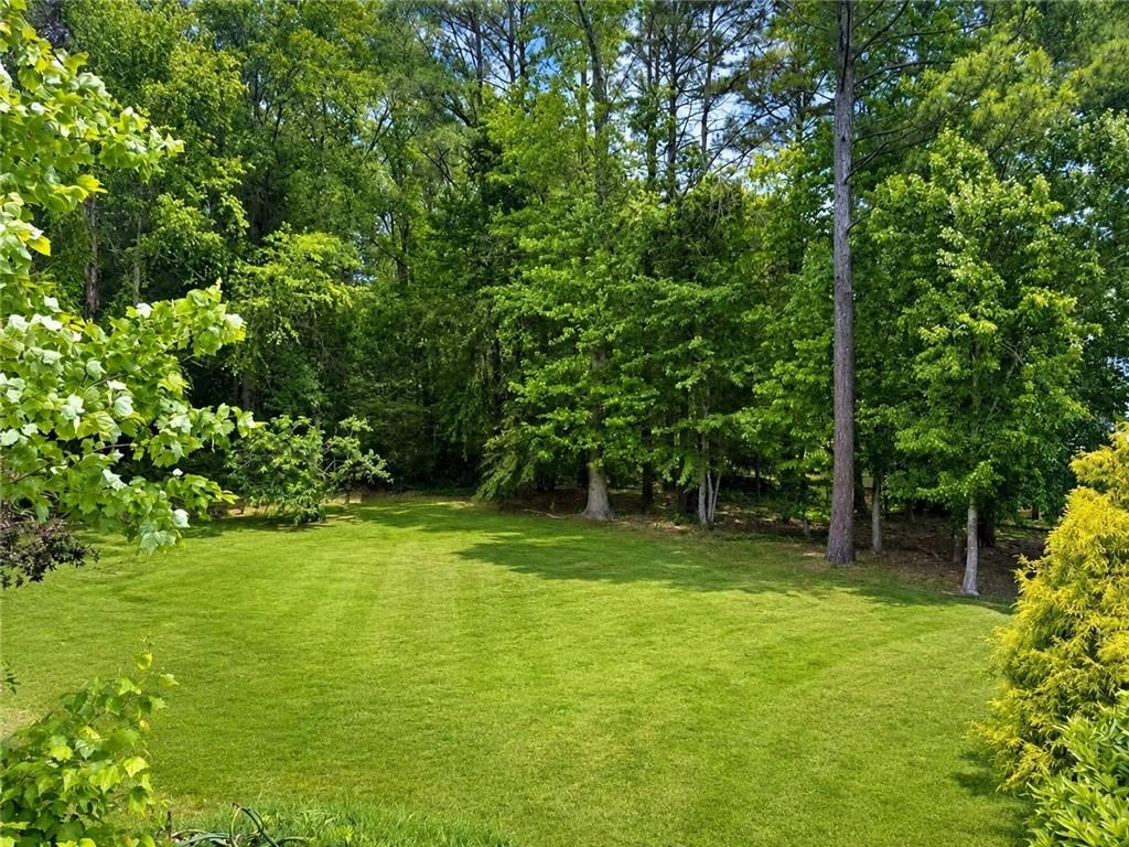 3776 Mason Ridge Drive Winston, GA 30187 - Photo 45 of 48 a view of a trees in a yard