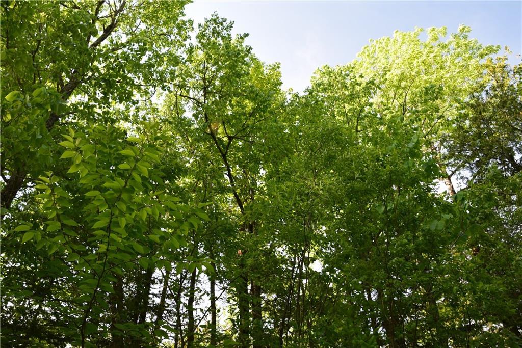 On Oliver Hill Road Garland, ME 04939 - Photo 17 of 28 Photo