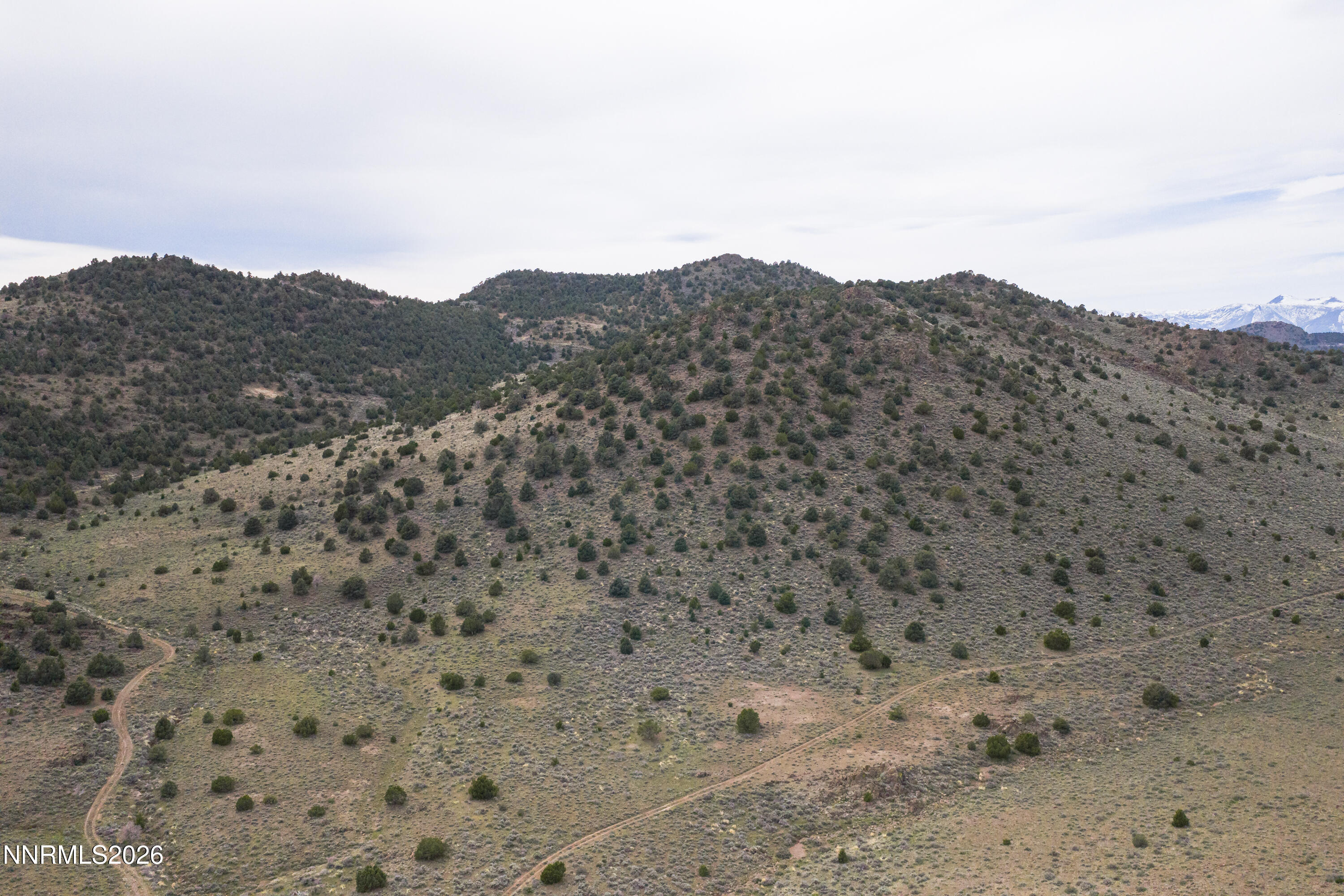 22100 Flowery Road Reno, NV 89521 - Photo 14 of 24 22100 Flowery Way-18