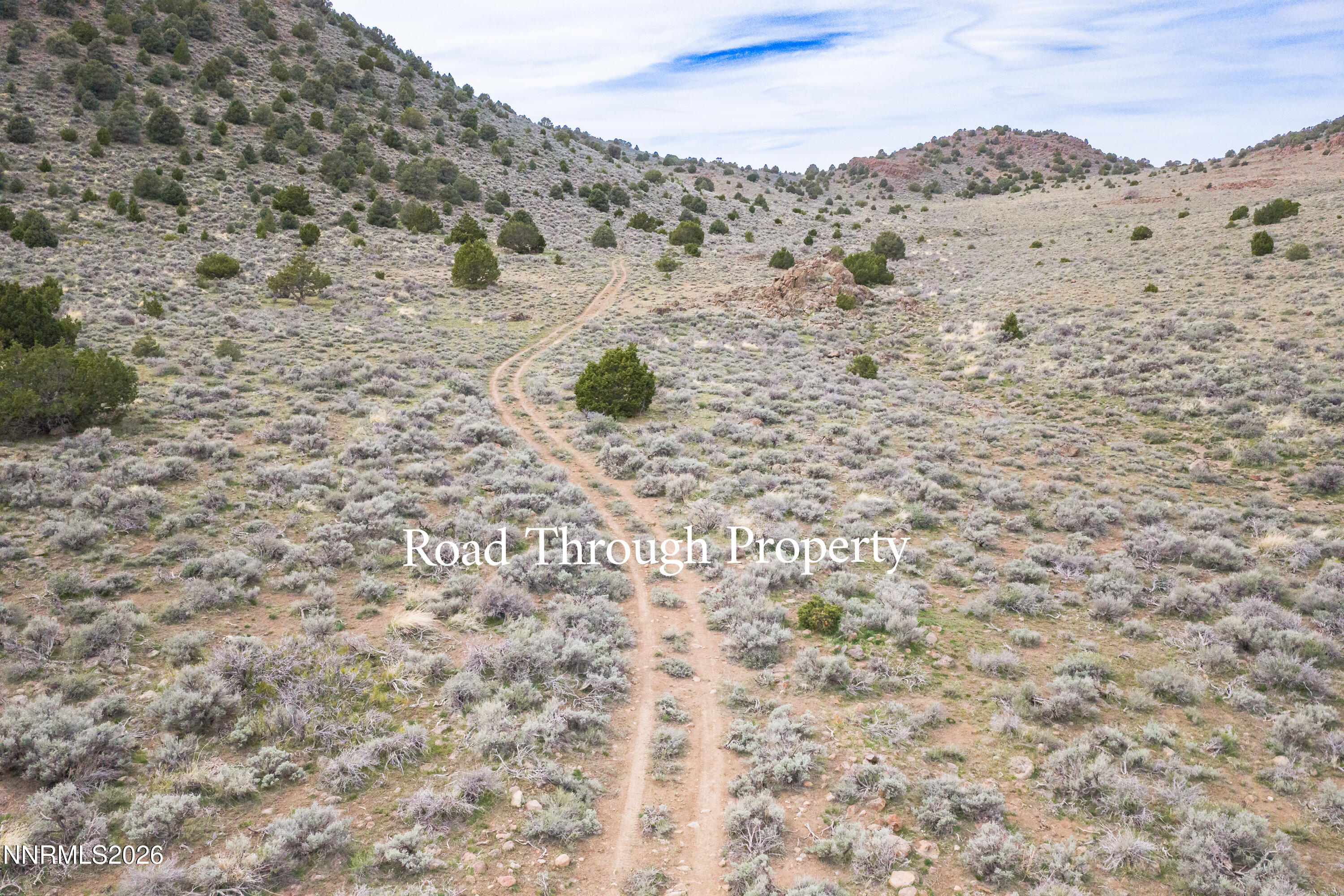 22100 Flowery Road Reno, NV 89521 - Photo 19 of 24 22100 Flowery Way-29