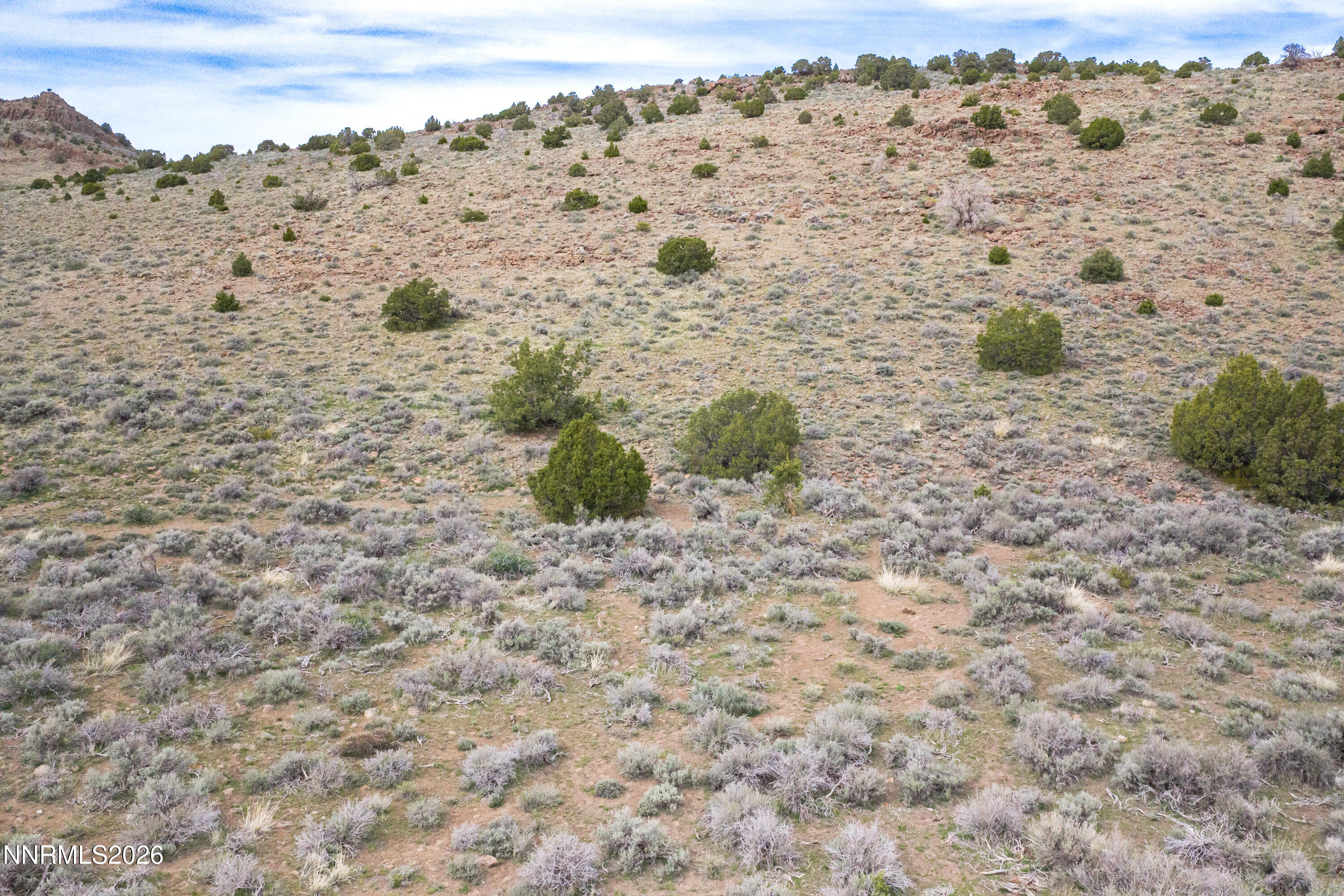 22100 Flowery Road Reno, NV 89521 - Photo 20 of 24 22100 Flowery Way-31