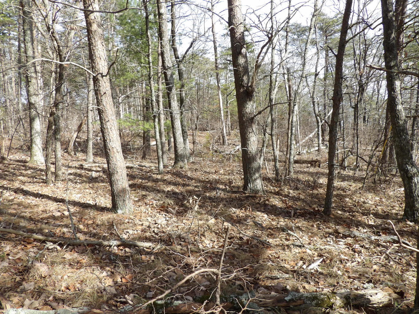 0 Brown Road Graysville, TN 37338 - Photo 11 of 20 20200123184636237376000000-o