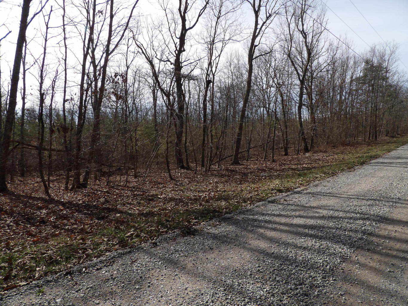 0 Brown Road Graysville, TN 37338 - Photo 14 of 20 20200123184653561017000000-o