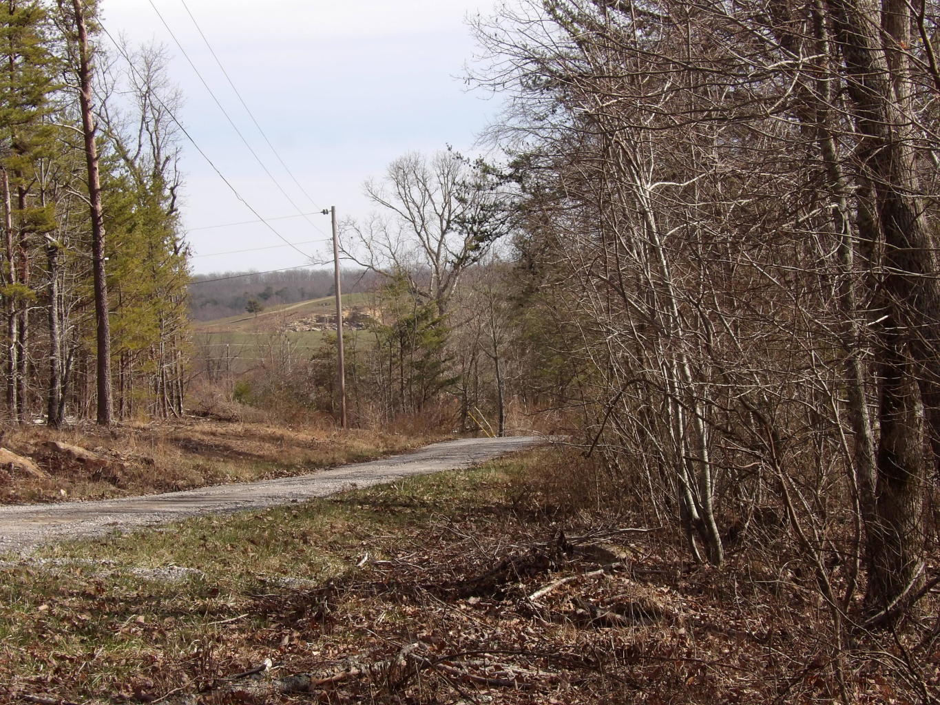 0 Brown Road Graysville, TN 37338 - Photo 18 of 20 20200123184709912791000000-o