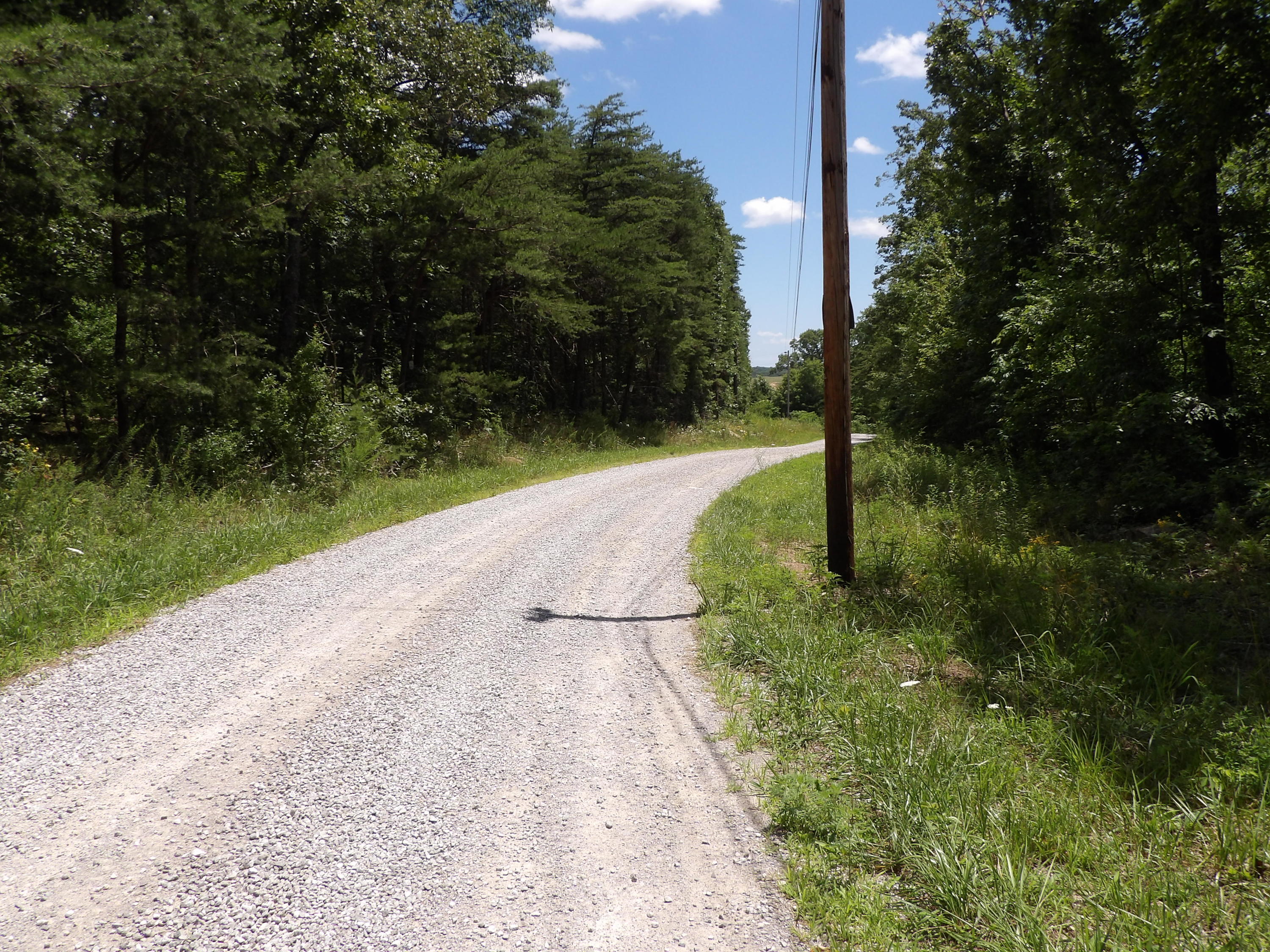 0 Brown Road Graysville, TN 37338 - Photo 20 of 20 100_1216