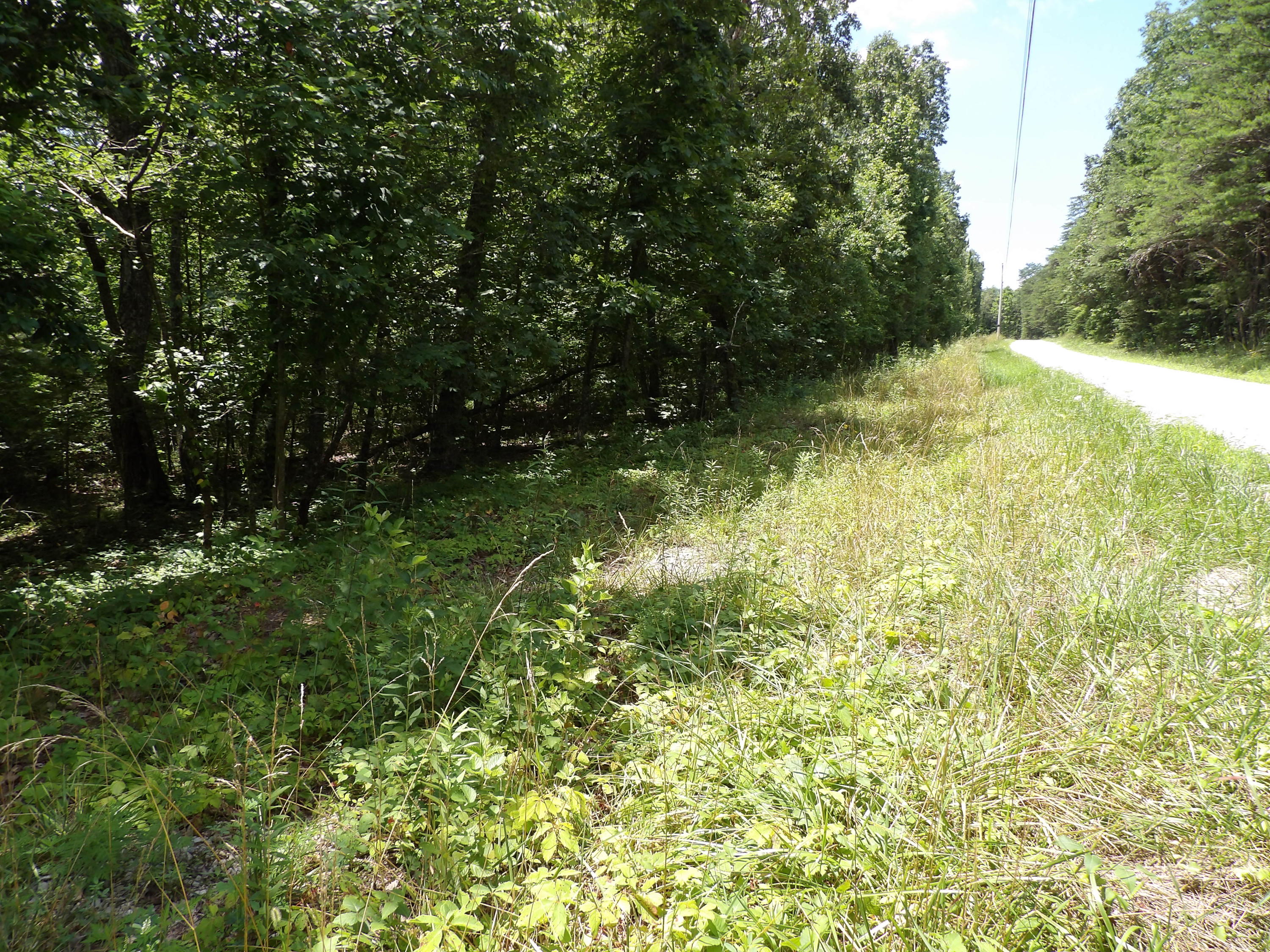 0 Brown Road Graysville, TN 37338 - Photo 3 of 20 100_1212