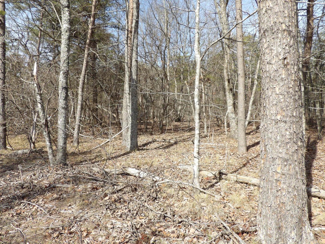 0 Brown Road Graysville, TN 37338 - Photo 9 of 20 20200123184616966668000000-o