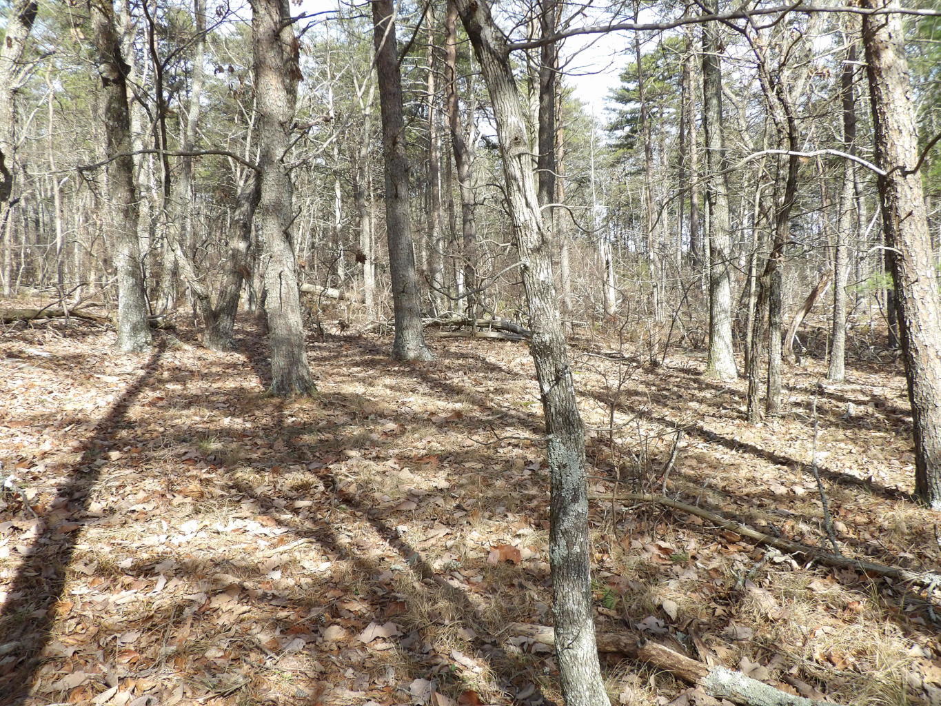 0 Brown Road Graysville, TN 37338 - Photo 10 of 20 20200123184632450304000000-o