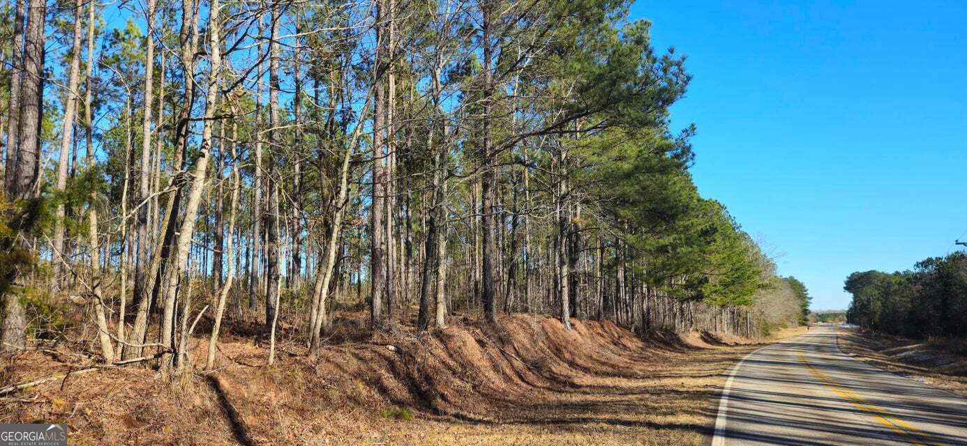 0 Bethany Church Road Lincolnton, GA 30817 - Photo 1 of 1 Gallery Image 1